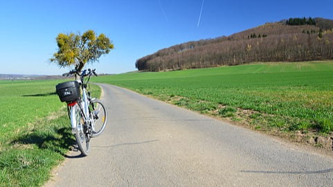 Baisse de 15% des immatriculations des vélos électriques rapides en septembre