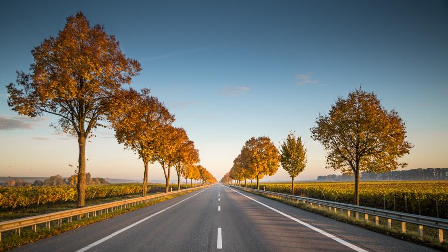 Ook juli tekent rood voor de automarkt