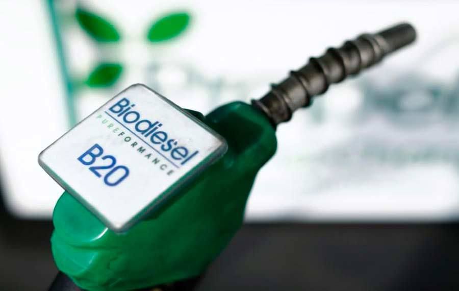 Biodiesel: l'alternative renouvelable