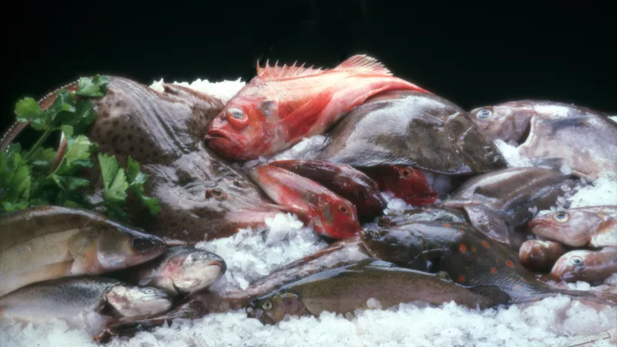 Le Flamand ne connaît pas encore assez l'offre de poisson locale