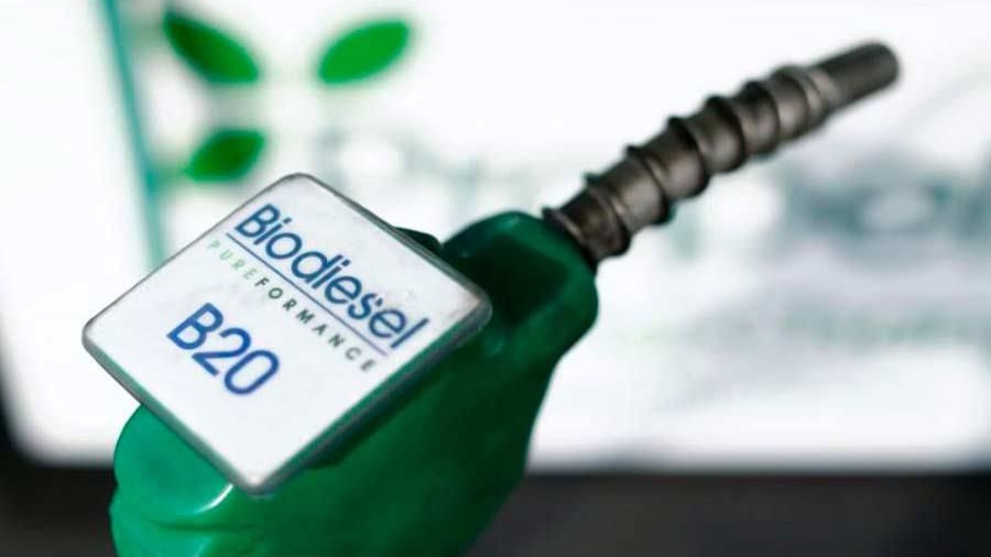 Biodiesel: het hernieuwbare alternatief